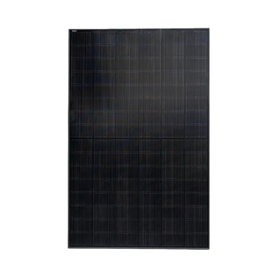 Sungrow 450W Bifacial N Type Double Glass Module (Black Frame)
